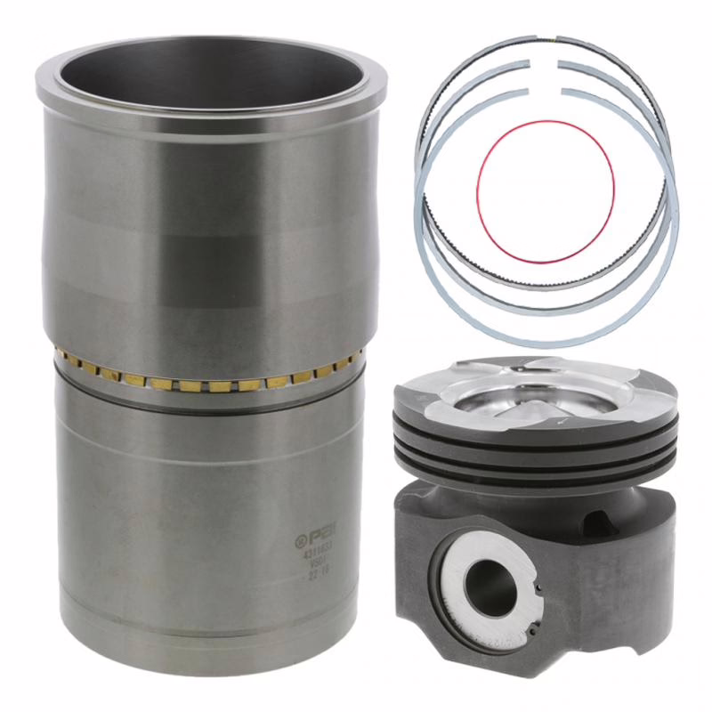 PAI 101179 Cylinder(Isx) Kit