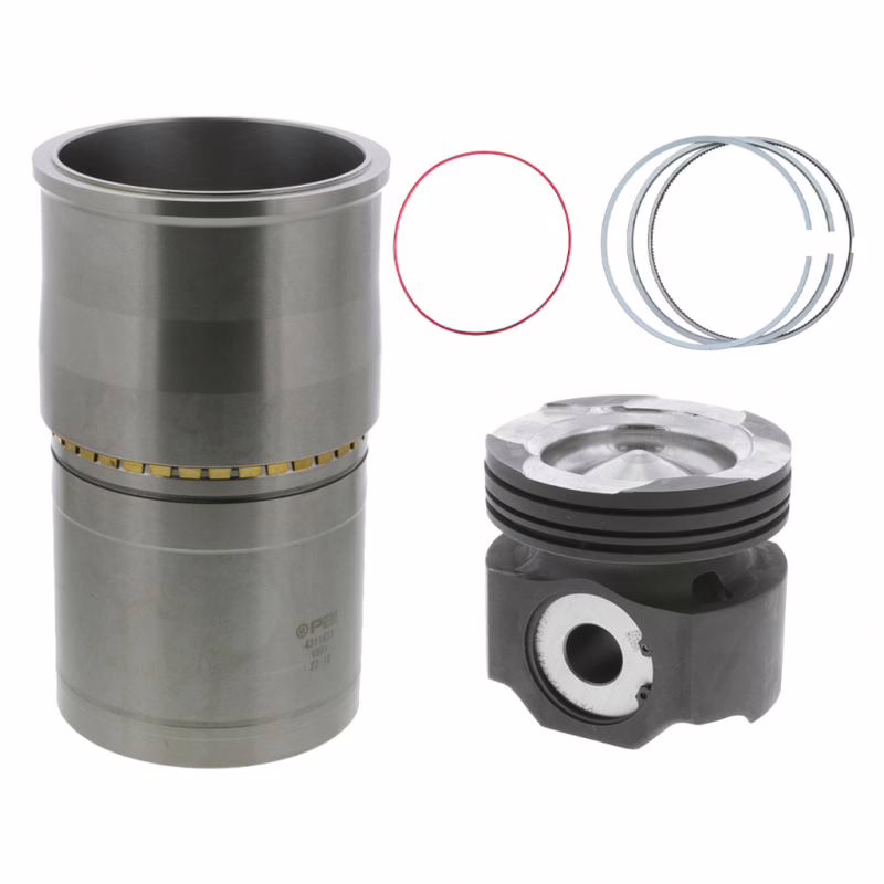 PAI 101181 Cylinder(Isx) Kit