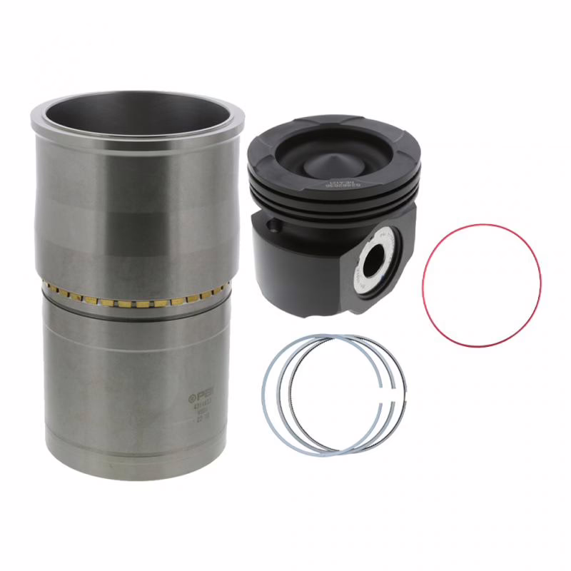 PAI 101196 Cylinder(Isx) Kit