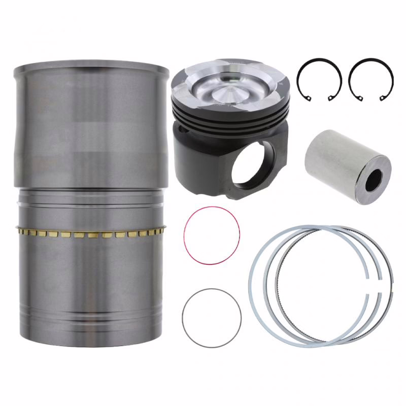 PAI 101202 Cylinder(Isx) Kit