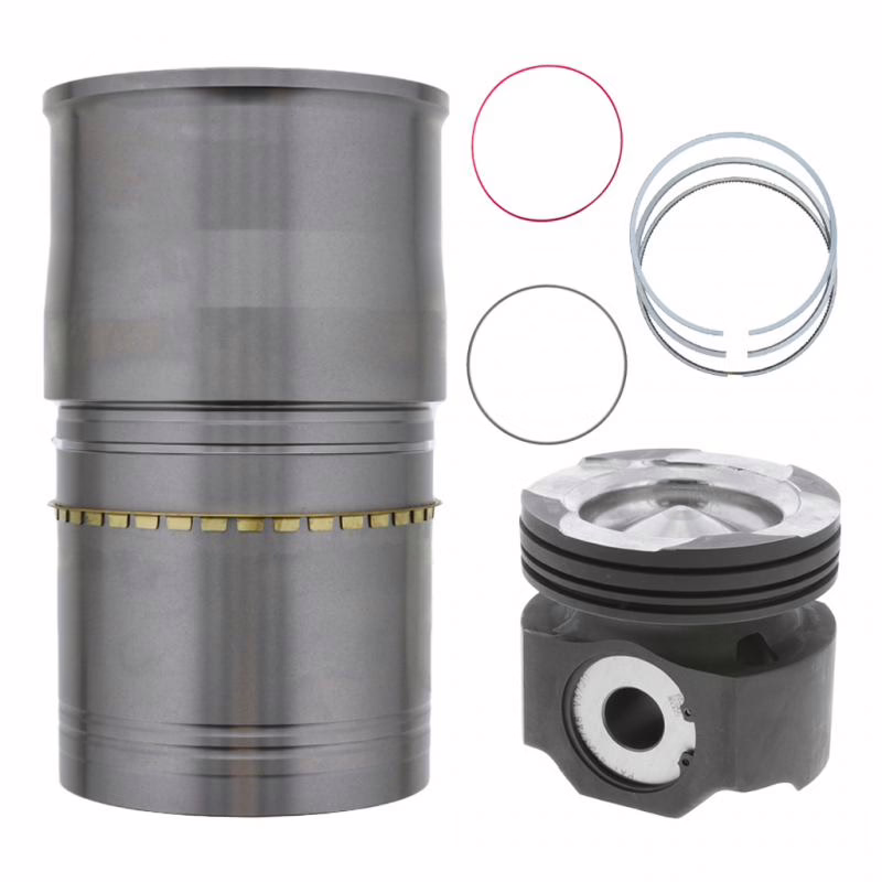 PAI 101206 Cylinder(Isx) Kit