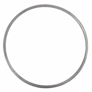 PAI 131972 Treat Gasket
