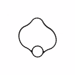 PAI 132067 Pump Gasket Fuel