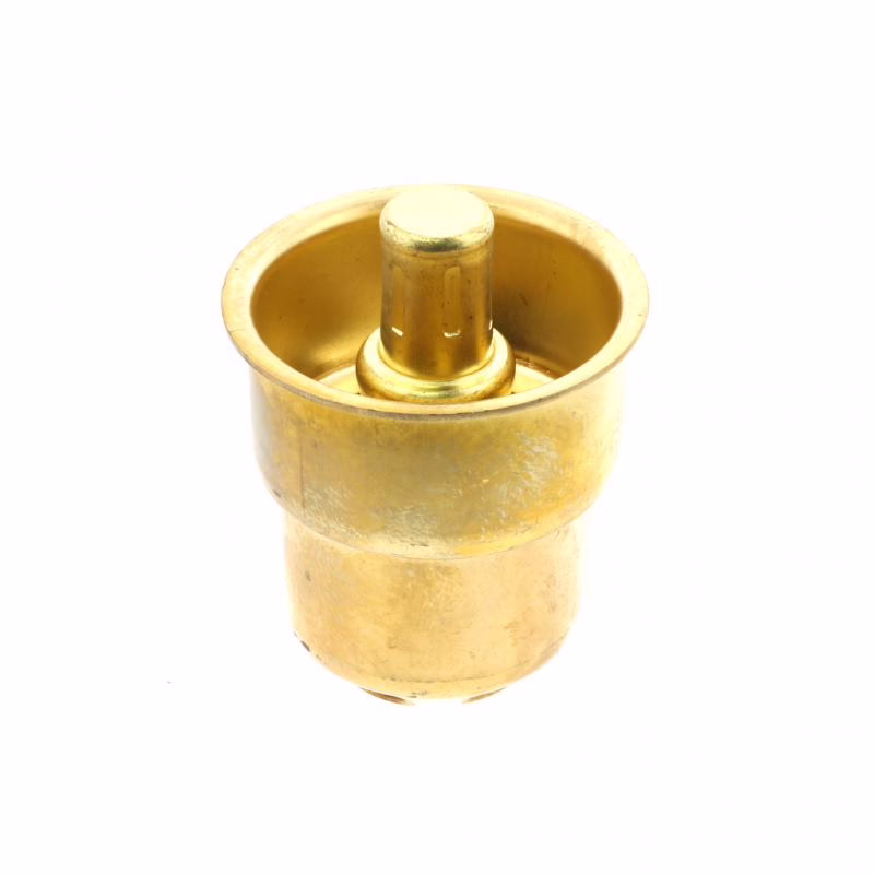 PAI 181865  Thermostat