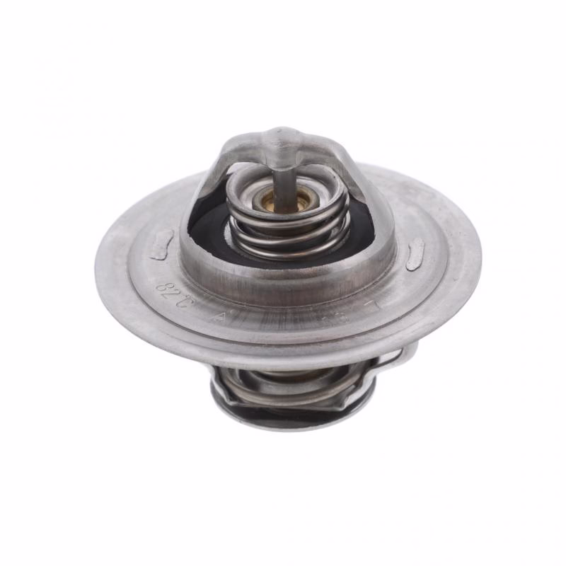 PAI 181940OEM Thermostat Kit