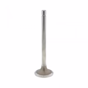 PAI 191962E Exhaust Valve