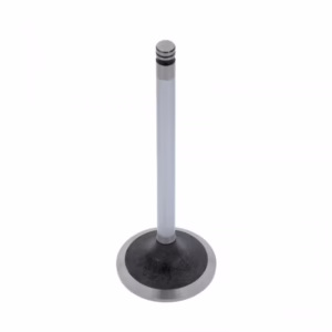 PAI 191980E Intake Valve