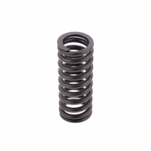 PAI 192051 Vlv Spring