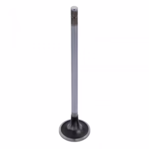 PAI 192145E Intake Valve