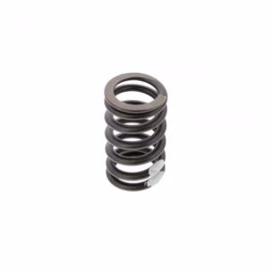 PAI 192156 Vlv Spring
