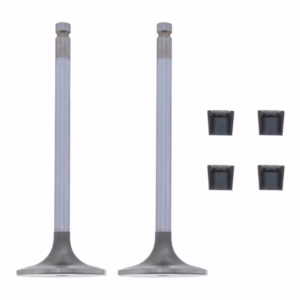 PAI 192220 Valve Kit Int.