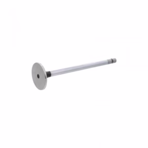 PAI 192270 Intake Valve