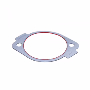 PAI 331574OEM Pump Gasket