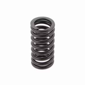 PAI 392042 Valve Spring