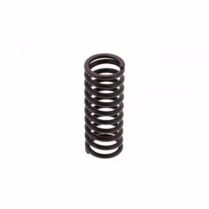 PAI 392044 Valve Spring