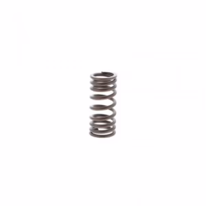PAI 392049 Valve Spring