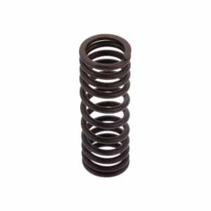 PAI 392050 Valve Spring