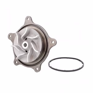 PAI 481817 W.Pump Kit
