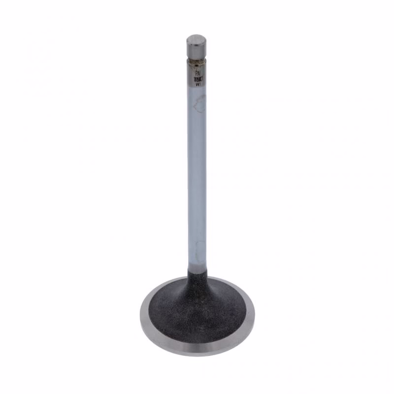 PAI 491003 Int. Valve