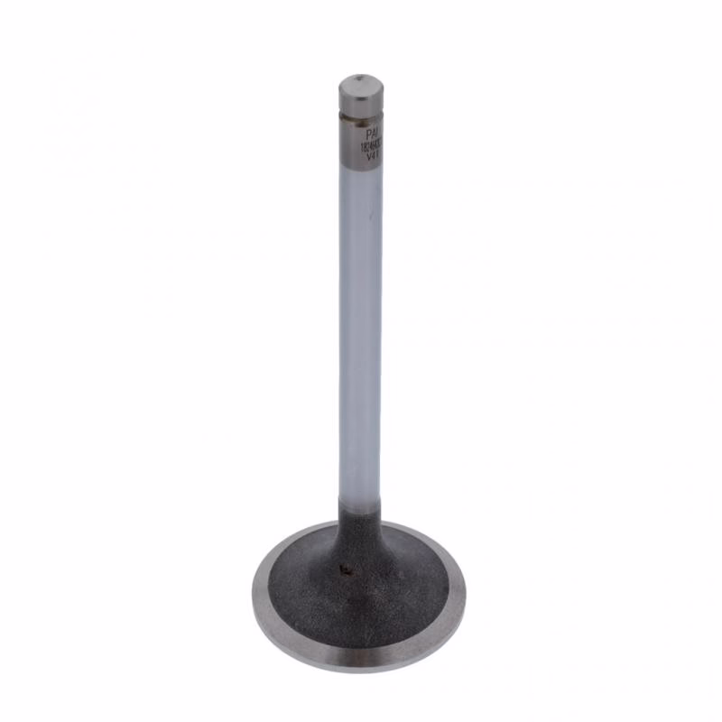 PAI 491004 Int. Valve