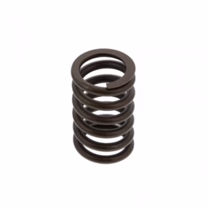 PAI 491030 Valve Spring