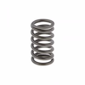 PAI 491031 Valve Spring