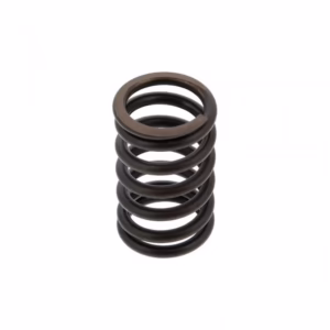 PAI 491032 Valve Spring