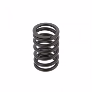 PAI 492000 Valve Spring