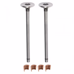 PAI 691902 Valve Kit S71