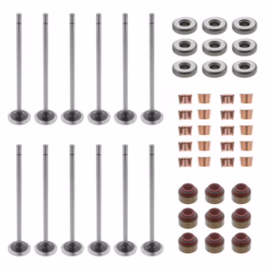 PAI 691909E Valve Kit Int