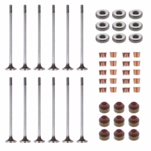 PAI 691913E Valve Kit Exh
