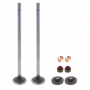 PAI 691914 Valve Kit Exhaust
