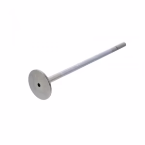 PAI 691916E Int. Valve