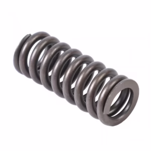 PAI 692010 Valve(S Spring
