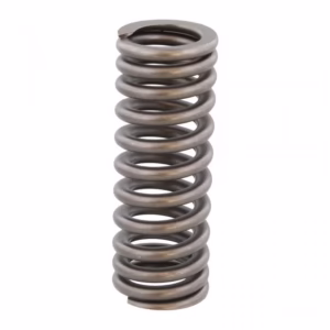 PAI 692013 Valve Spring